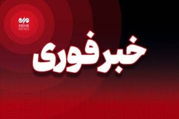 جزئیات حملات دشمن به مناطقی از استان بوشهر